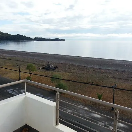 Korelis *